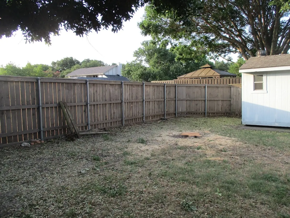 Cleared yard after professional tree removal in Port Sulphur